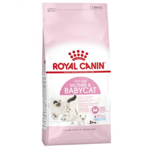 Royal Canin Mother & Babycat طعام قطط
